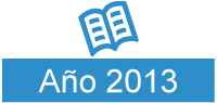 anio 2013